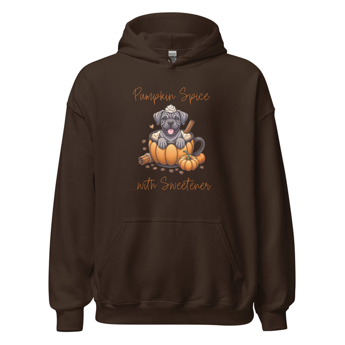 Sweetener Hoodie