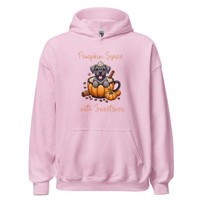 Sweetener Hoodie