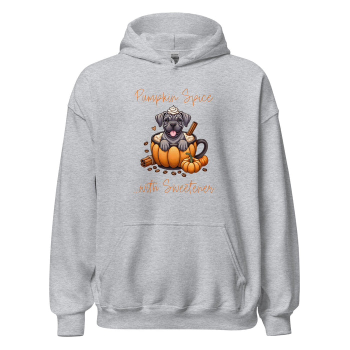 Sweetener Hoodie