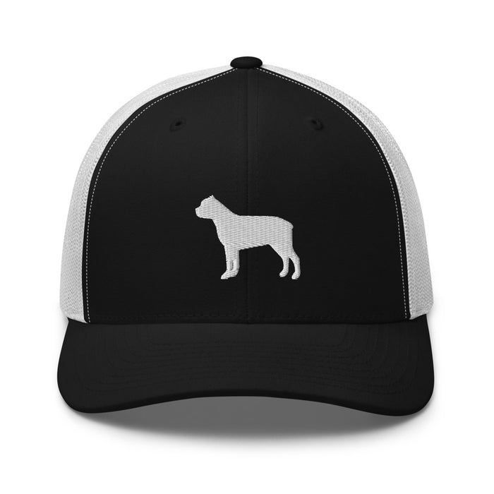 Signature Mesh Hat