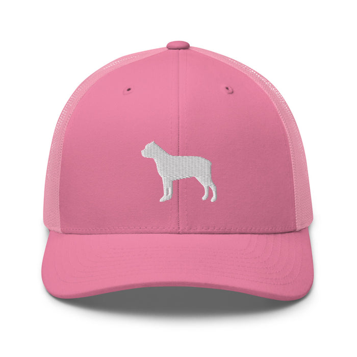Signature Mesh Hat