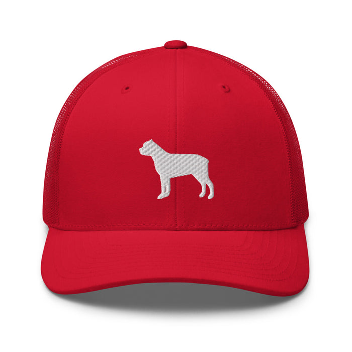 Signature Mesh Hat