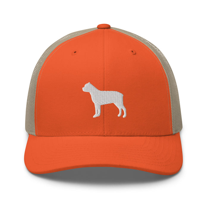 Signature Mesh Hat