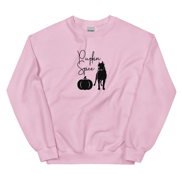 "Pupkin" Spice Sweatshirt
