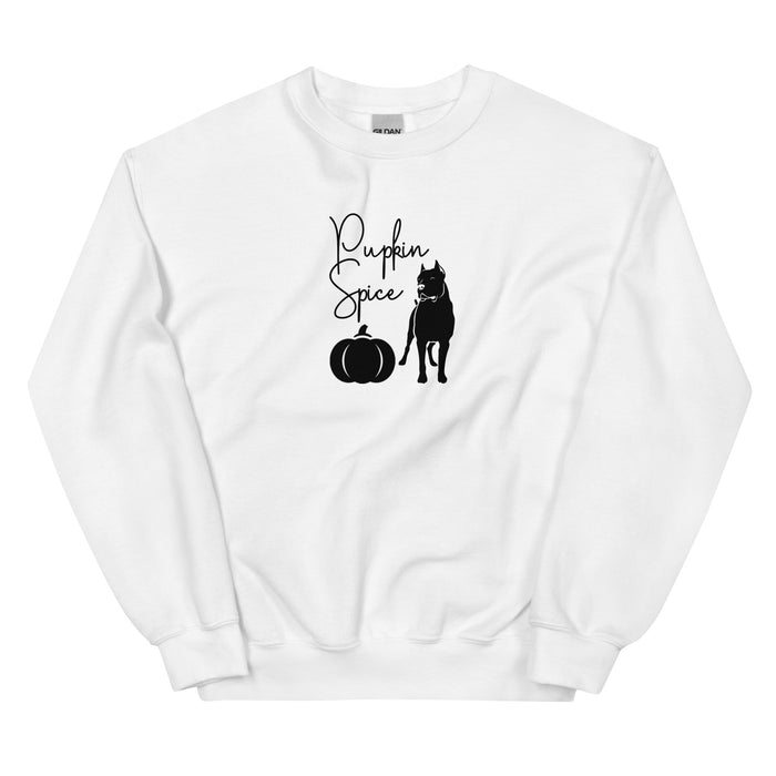 "Pupkin" Spice Sweatshirt