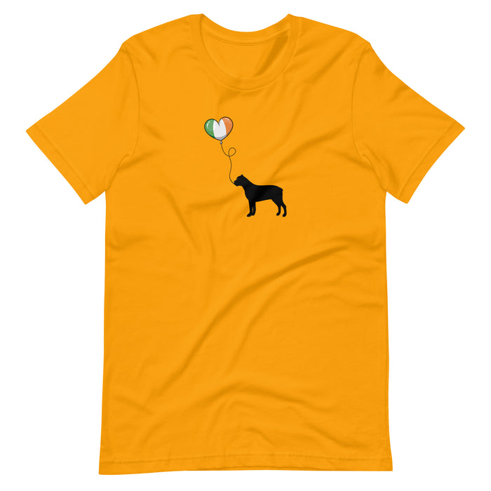 St. Paddy's Day Tee